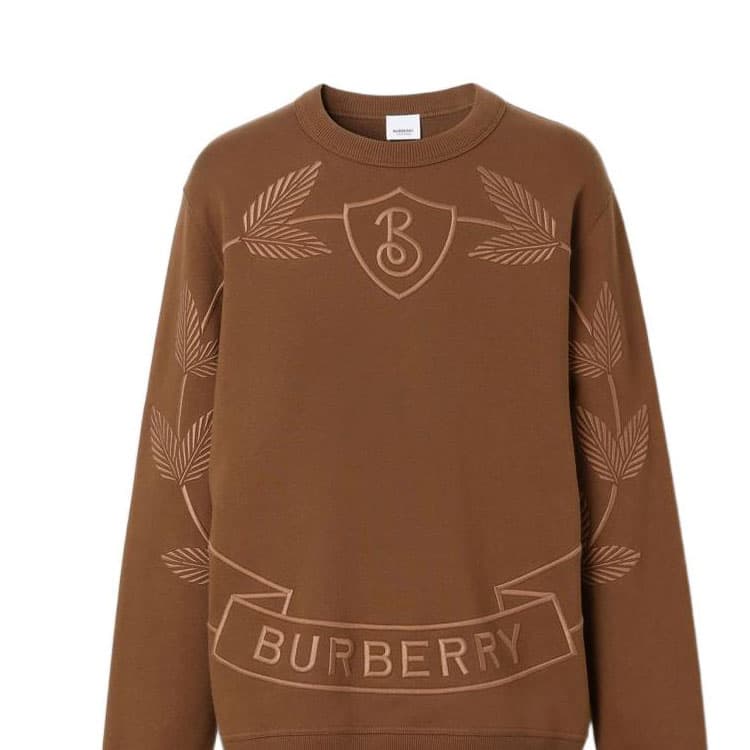Худи Burberry FW22 logo - изображение 6