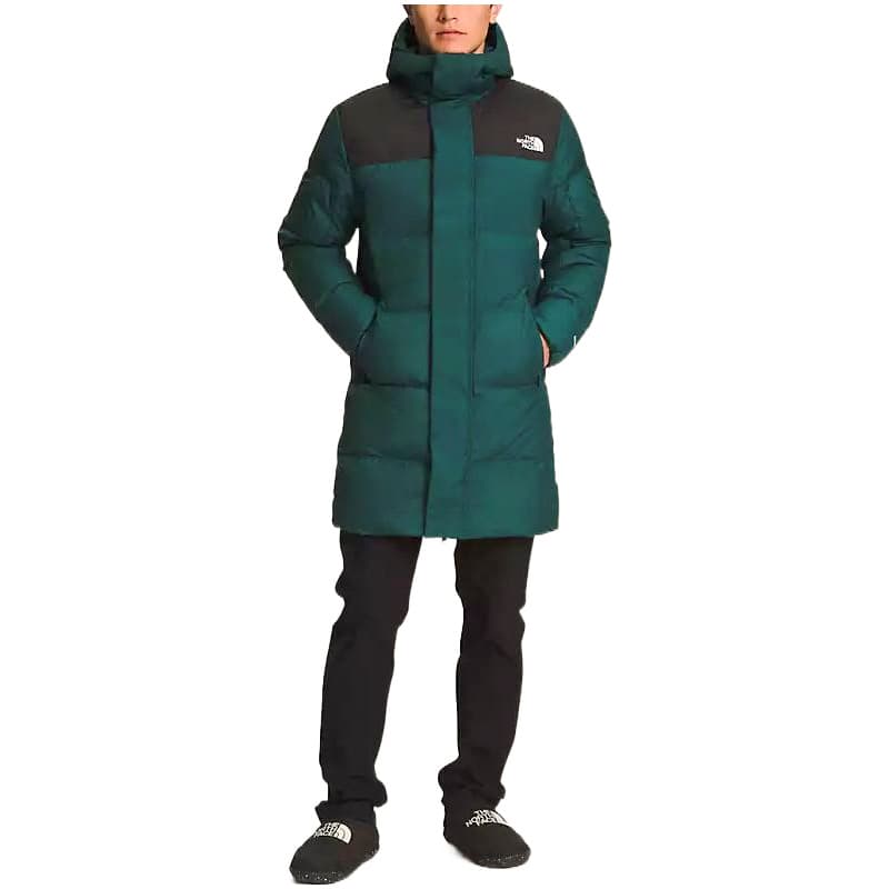 Зимняя куртка THE NORTH FACE Logo - изображение 4