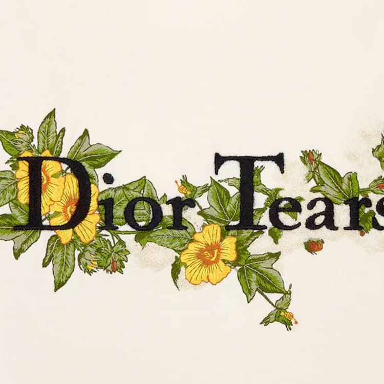 Футболка DIOR SS23 Tears T - изображение 6