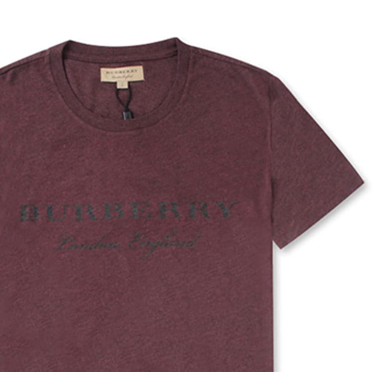 Футболка Burberry SS21 LogoT - изображение 5