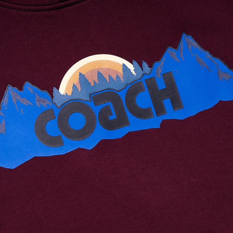 Худи COACH SS21 Logo - изображение 4