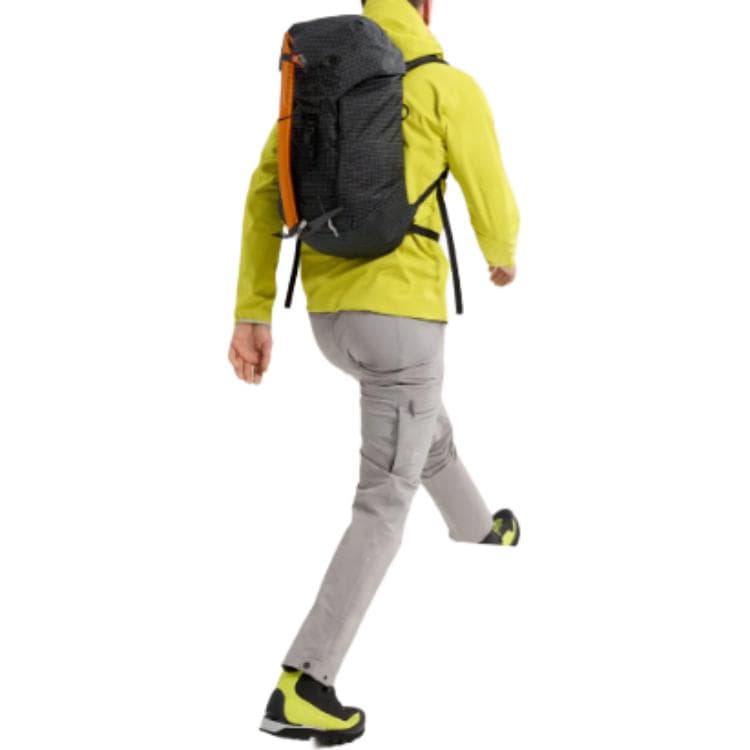 Штаны ARC'TERYX GAMMA GUIDE PANT - изображение 3
