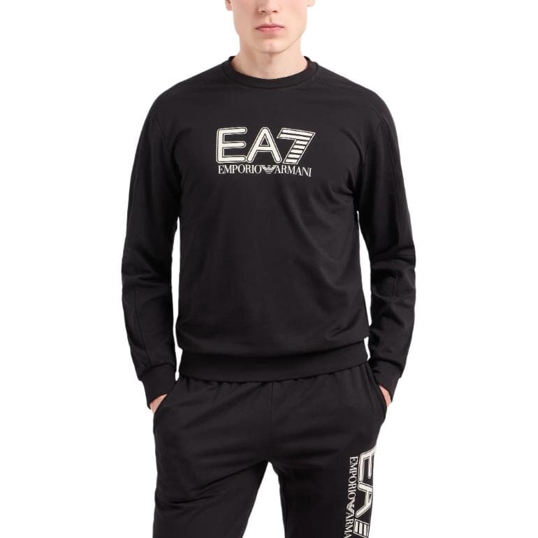Худи EMPORIO ARMANI EA7 FW24 Logo - изображение 3