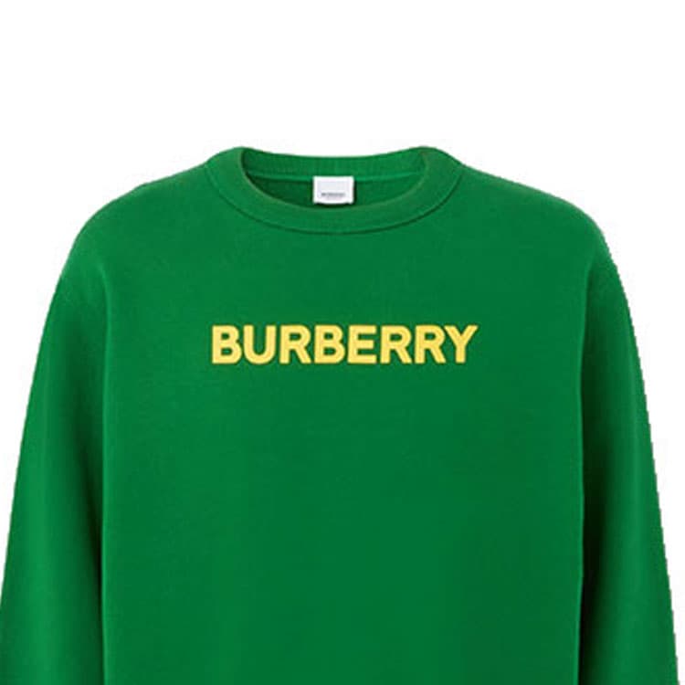 Худи Burberry SS22 - изображение 2
