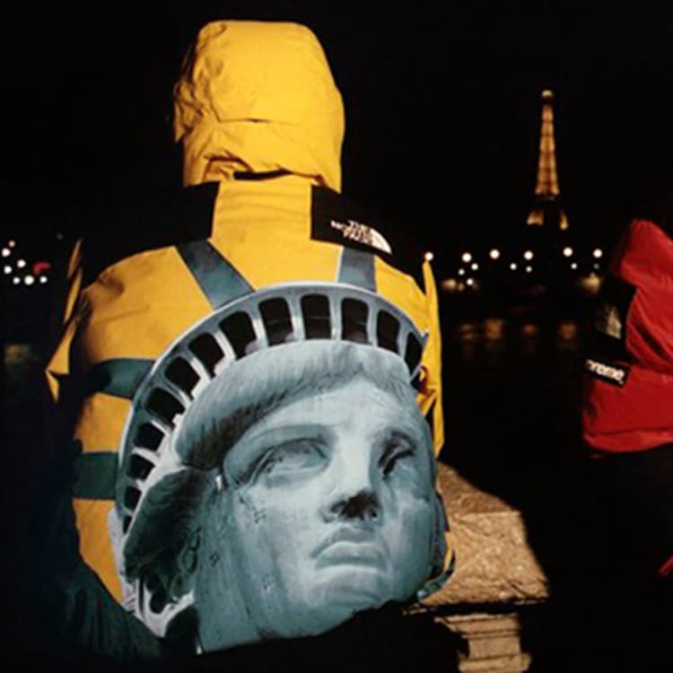Зимняя куртка Supreme x The North Face Statue of Liberty Hoodie Yellow - изображение 4