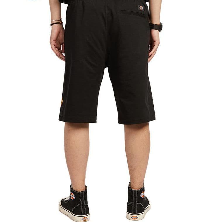 Шорты Dickies Logo - изображение 3