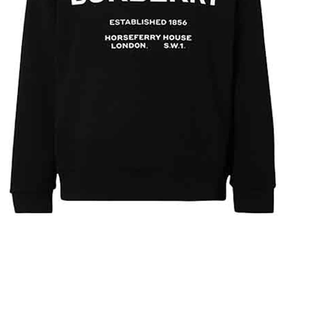 Худи Burberry Logo - изображение 2