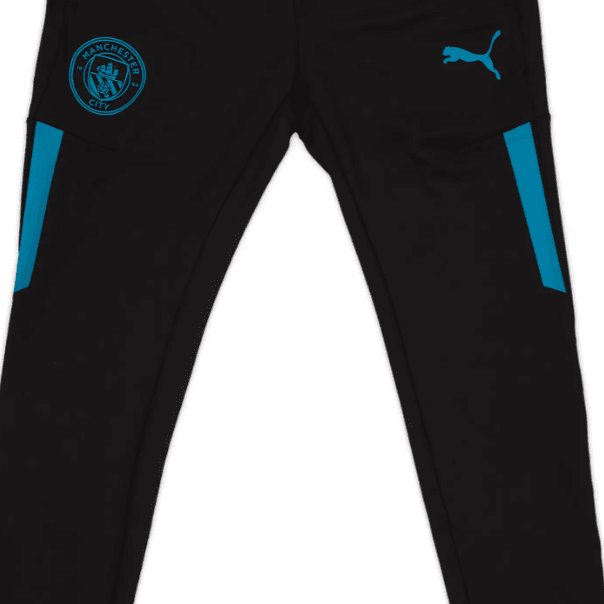 Штаны PUMA Logo 21-22 - изображение 3