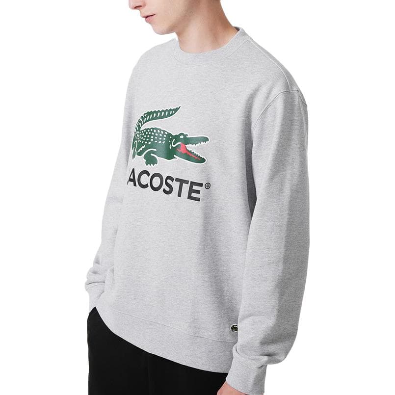 Худи LACOSTE FW23 - изображение 3