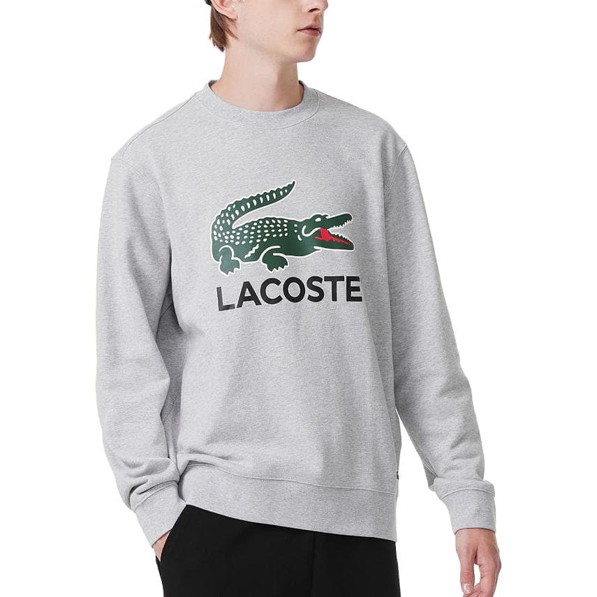Худи LACOSTE FW23 - изображение 2