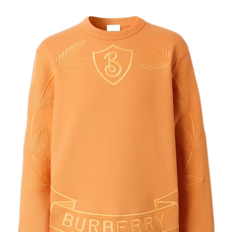Худи Burberry FW22 Logo - изображение 5