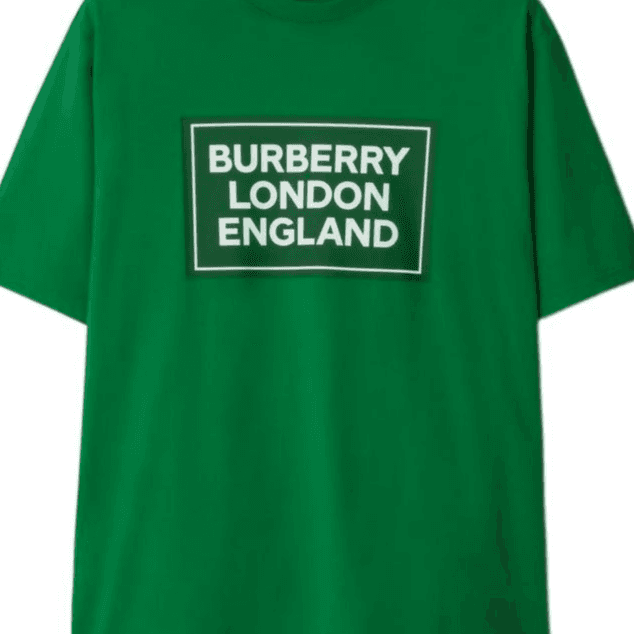 Футболка Burberry SS24 T Рубашка Мужская Зеленая - изображение 2