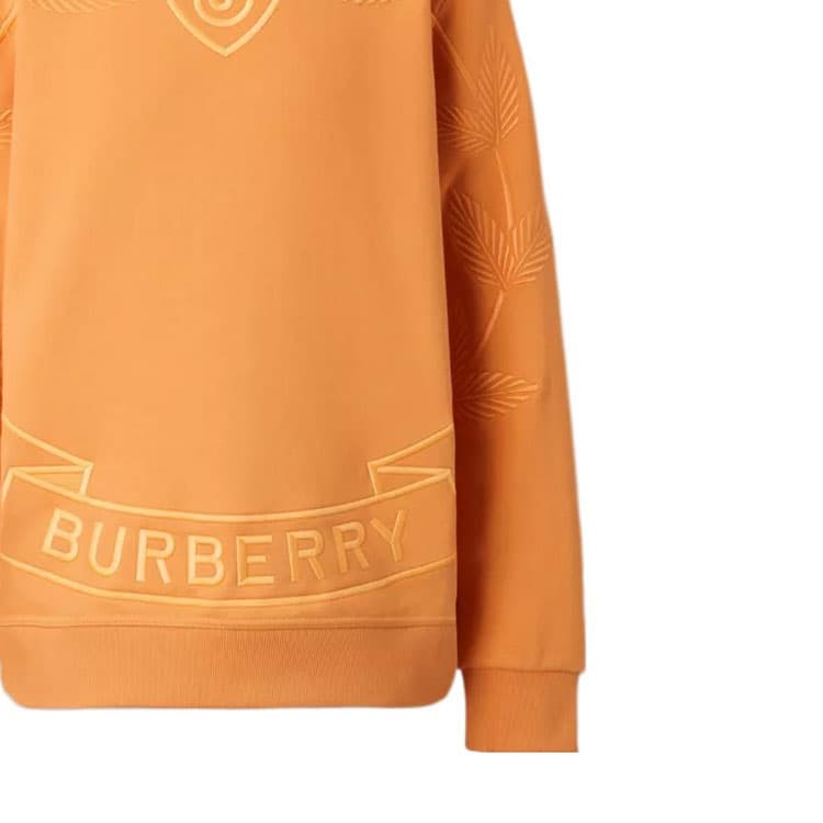 Худи Burberry FW22 Logo - изображение 6