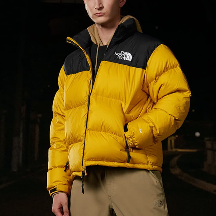 Зимняя куртка THE NORTH FACE 1996 Retro Nuptse 700 - изображение 3