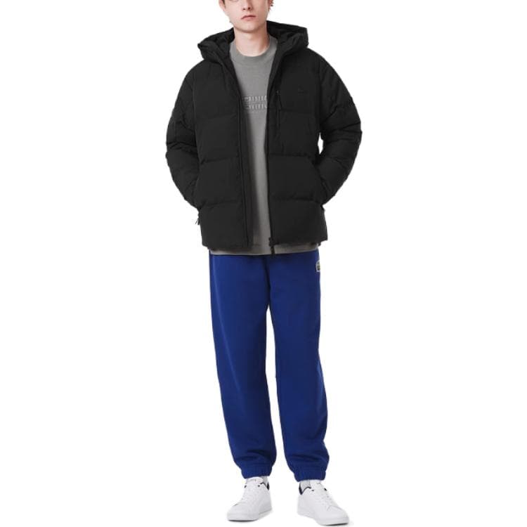 Зимняя куртка пуховик LACOSTE FW23 - изображение 3