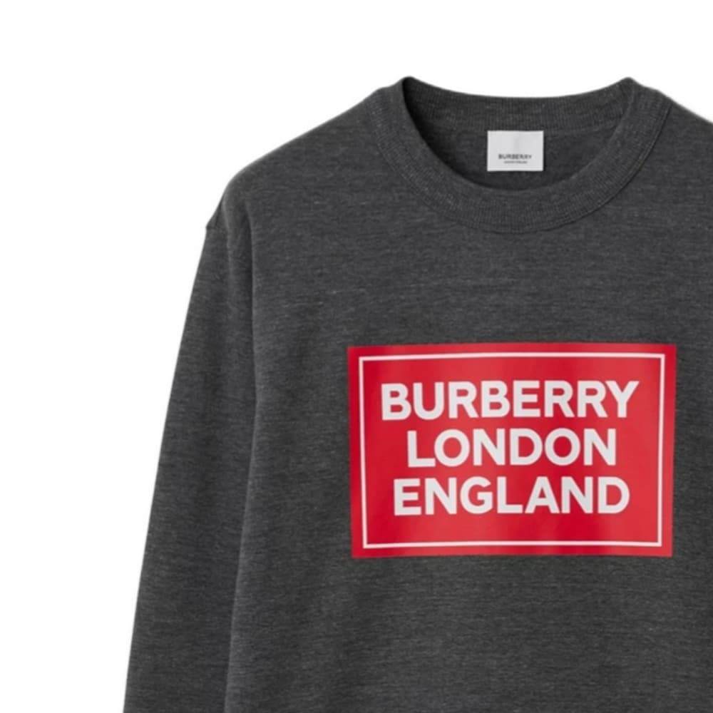 Худи Burberry SS24 - изображение 4