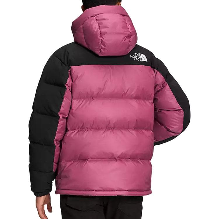 Зимняя куртка The North Face Summit Gold - изображение 5