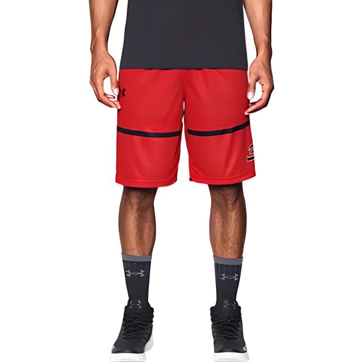 Баскетбольные шорты Under Armour Logo - изображение 5