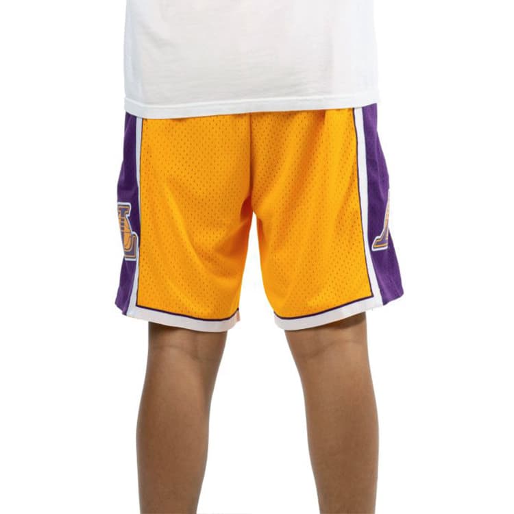 Баскетбольные шорты Mitchell Ness SW 09-10 - изображение 5