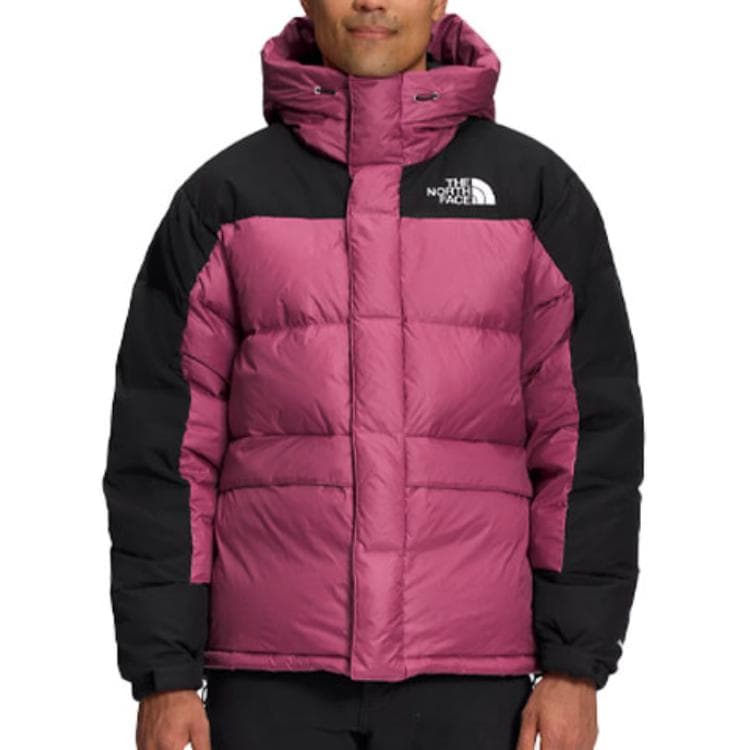 Зимняя куртка The North Face Summit Gold - изображение 3