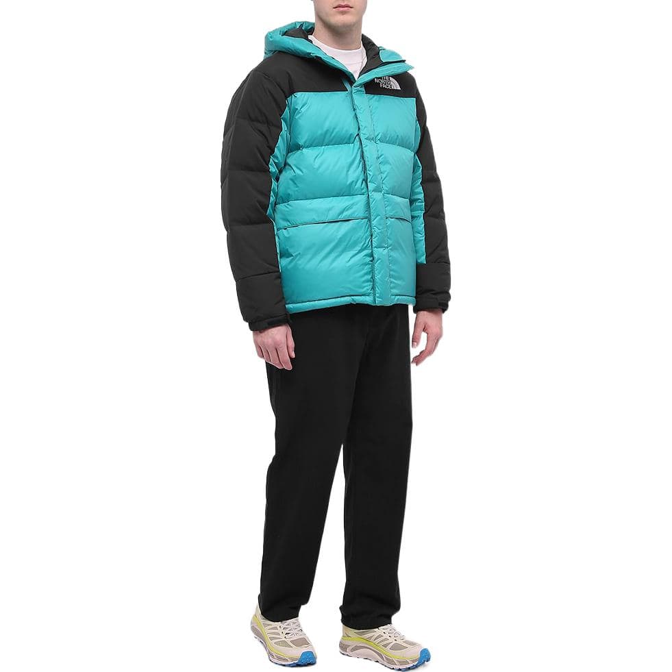 Зимняя куртка The North Face - изображение 4