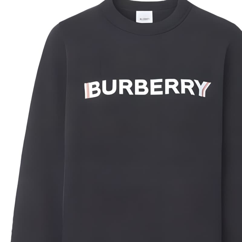 Худи Burberry SS23 — фото 10