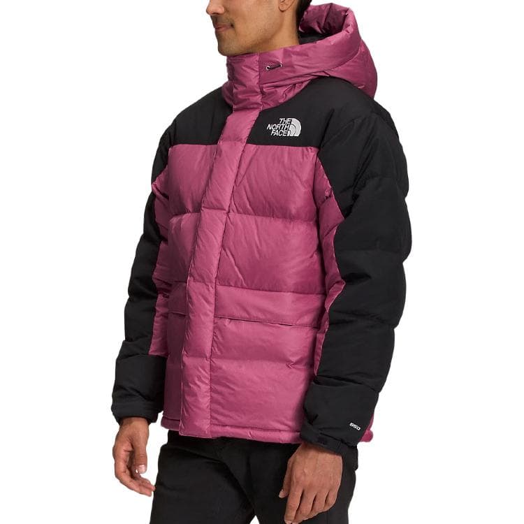 Зимняя куртка The North Face Summit Gold - изображение 4