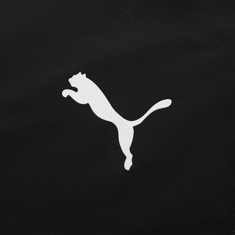 Puma AC - изображение 6