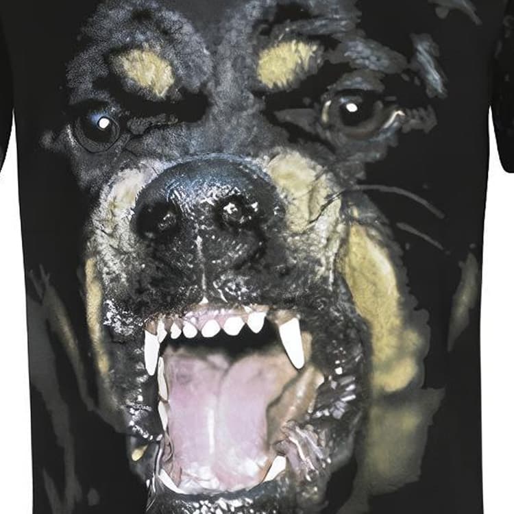 Футболка GIVENCHY T - изображение 6