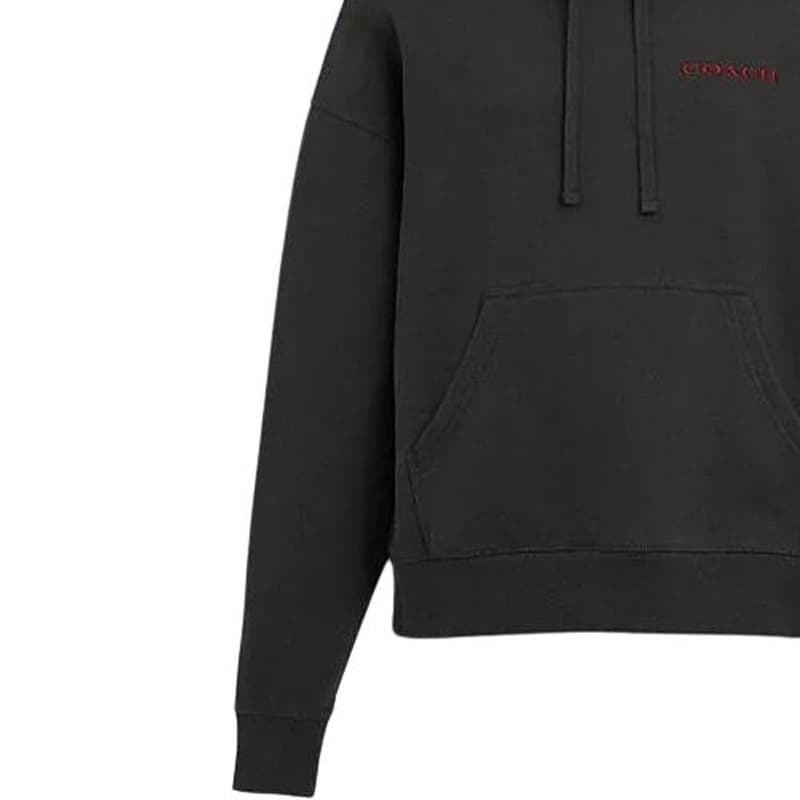 Худи COACH SS24 Logo - изображение 4