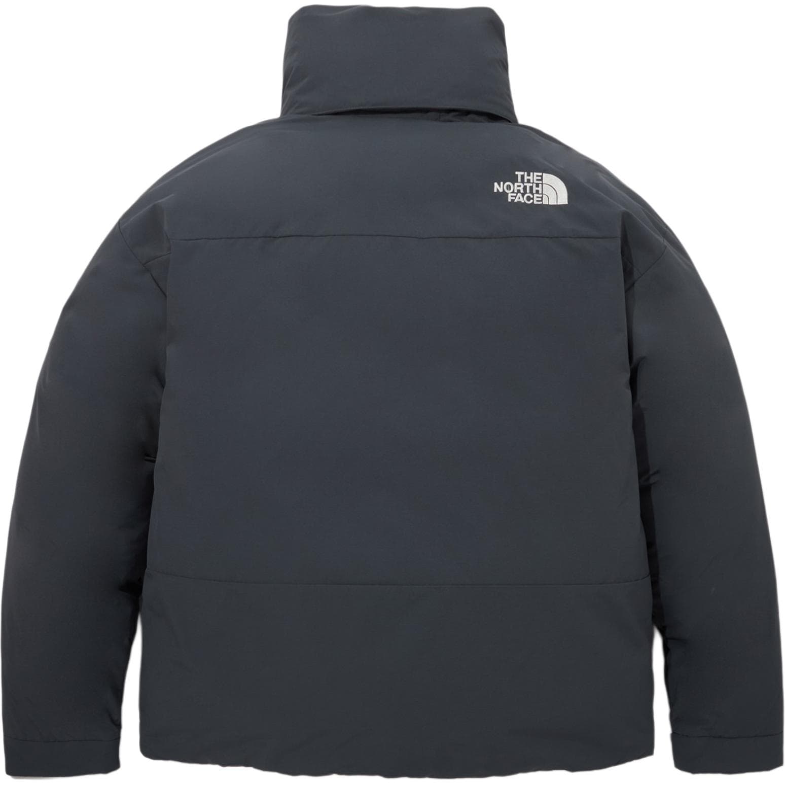 Зимняя куртка пуховик The North Face - изображение 2