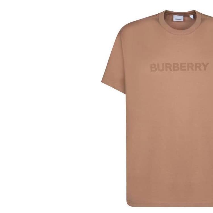 Футболка Burberry SS24T - изображение 8