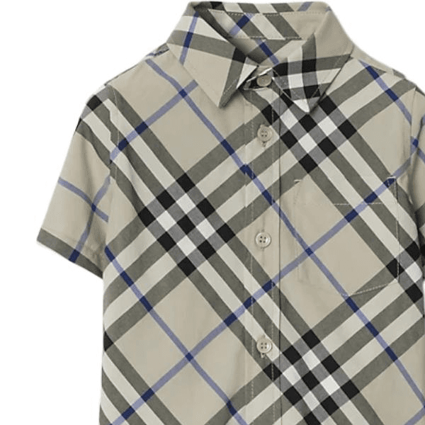 Burberry SS24 - изображение 3