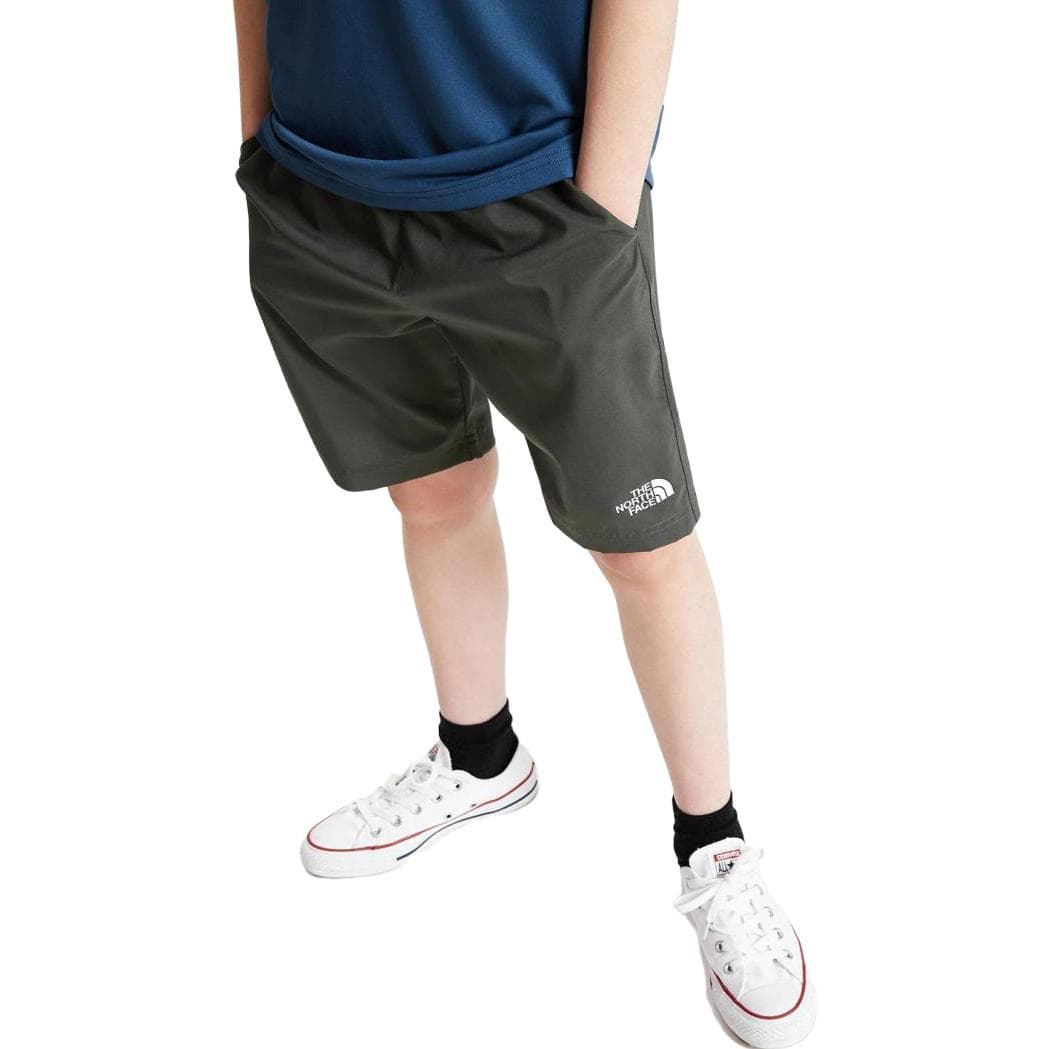 THE NORTH FACE Logo - изображение 5