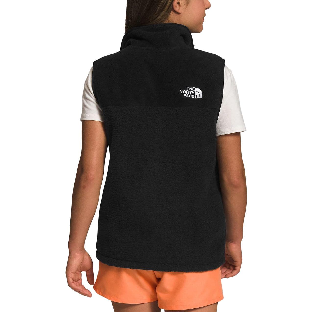 THE NORTH FACE Logo - изображение 3