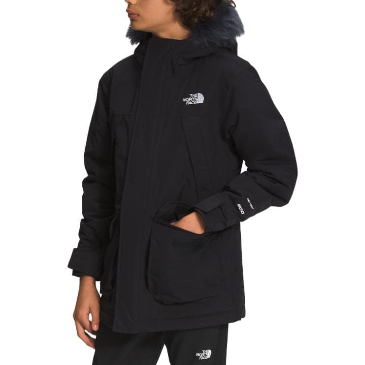 THE NORTH FACE Logo - изображение 4