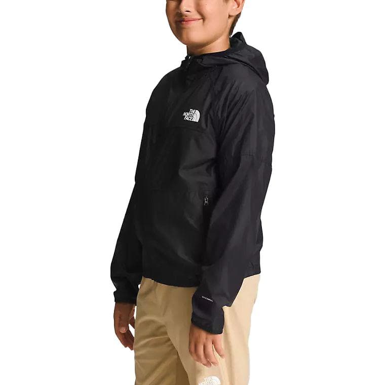 THE NORTH FACE Logo - изображение 3