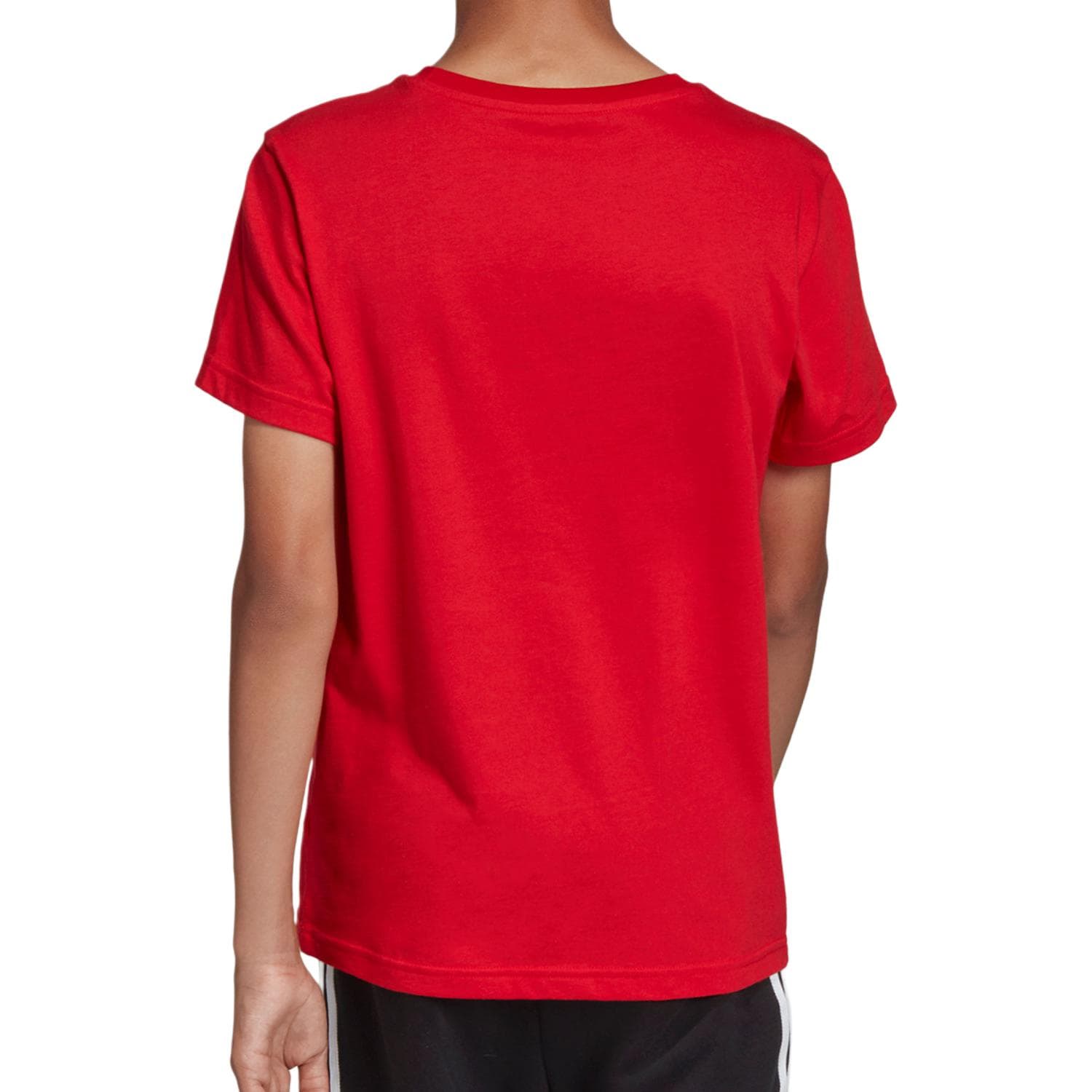 Футболка adidas originals logoT - изображение 3