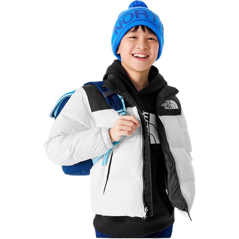THE NORTH FACE Logo - изображение 3