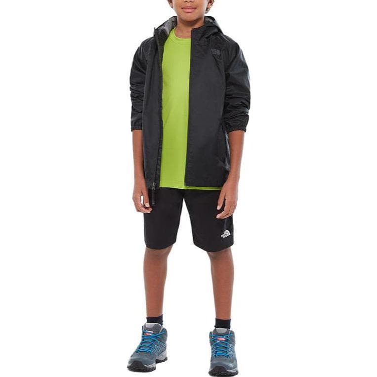 THE NORTH FACE Logo - изображение 2