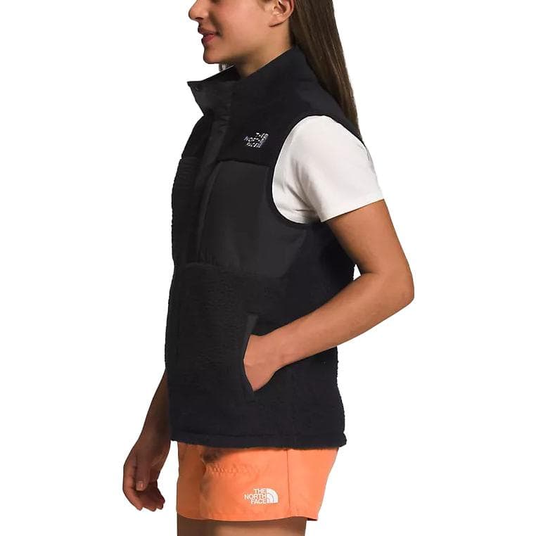 THE NORTH FACE Logo - изображение 2
