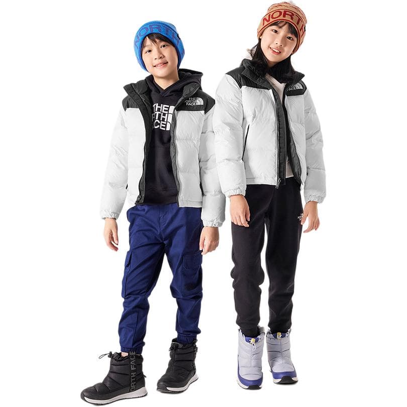 THE NORTH FACE Logo - изображение 6