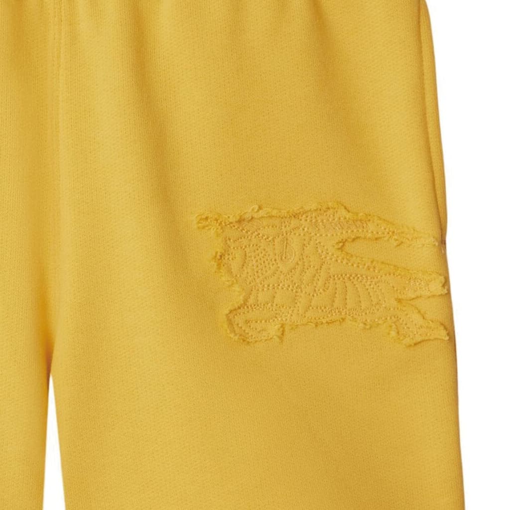 Burberry SS24 Logo - изображение 3