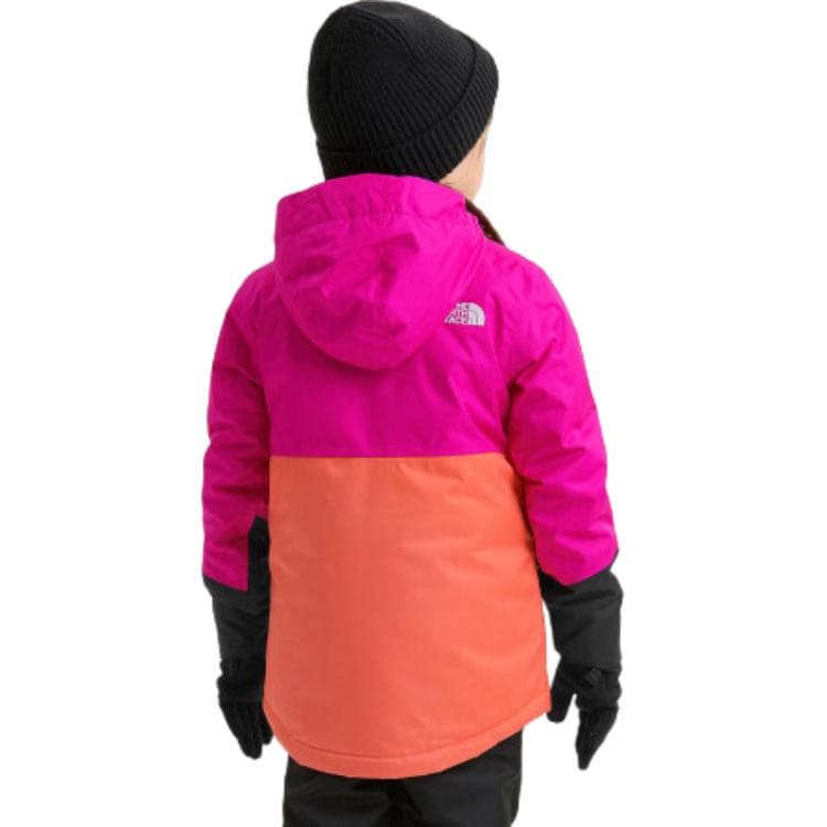 THE NORTH FACE Logo - изображение 4