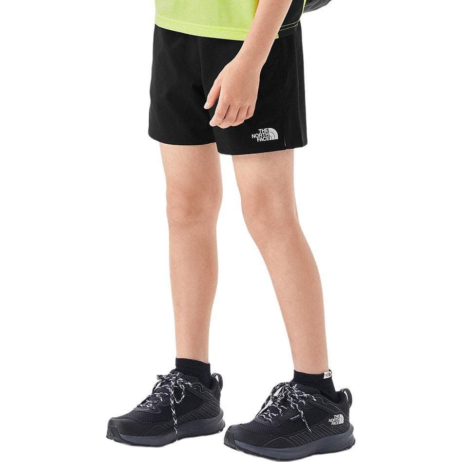 THE NORTH FACE Logo - изображение 2