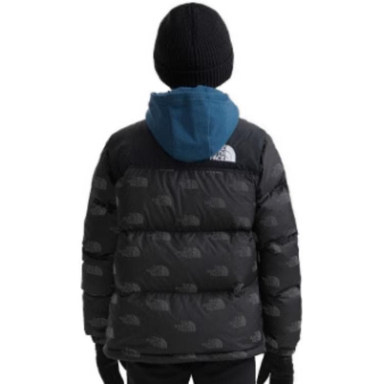 THE NORTH FACE 1996 ICON Logo - изображение 4