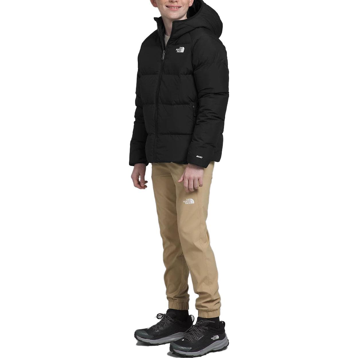 THE NORTH FACE Logo - изображение 4