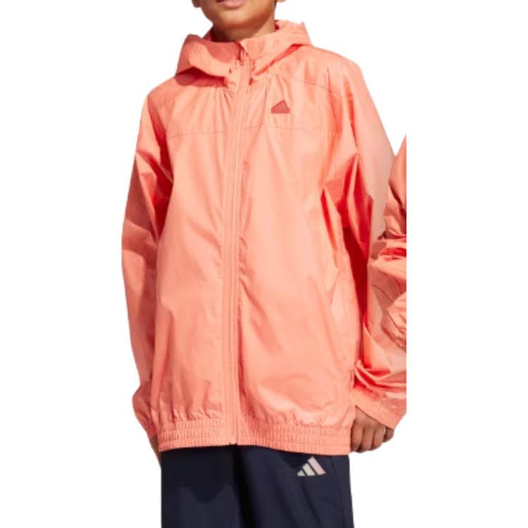 adidas Logo - изображение 8