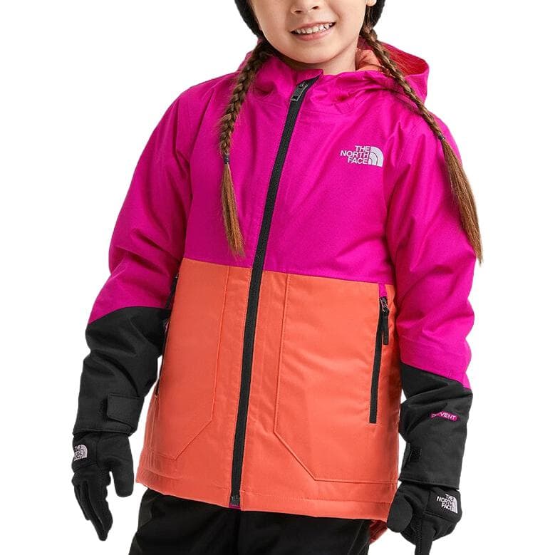 THE NORTH FACE Logo - изображение 5