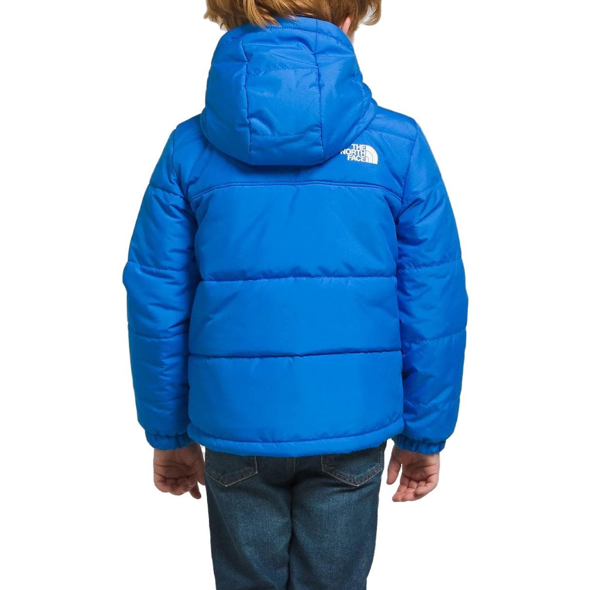 THE NORTH FACE Logo - изображение 3